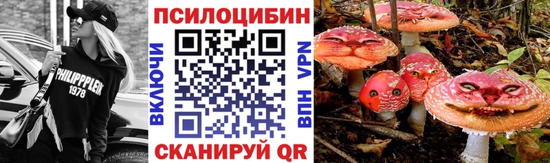 Псилоцибиновые грибы Magic Shrooms  Купить где  Руза 